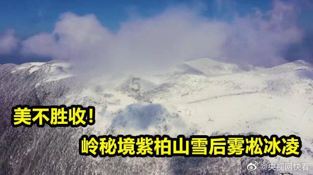 科目二挂科是什么原因?红迪网-尽情分享,极速流畅